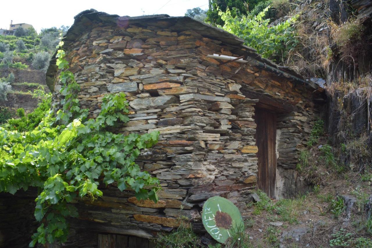 Casa Do Azereiro Villa Casal do Rei  Bagian luar foto